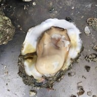 ชุมชนท่องเที่ยวบ้านปากกะแดะ