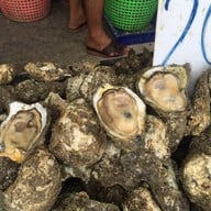 ชุมชนท่องเที่ยวบ้านปากกะแดะ