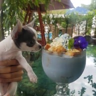 ดิ แอนธีค ริเวอร์ไซด์ รีสอร์ท