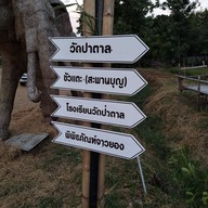 ขัวแตะคนยอง