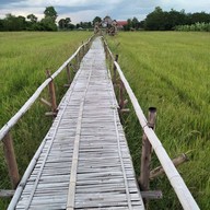 ขัวแตะคนยอง