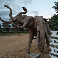 ขัวแตะคนยอง