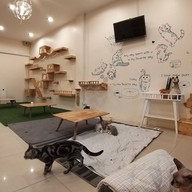 Lazy Cats Cafe
