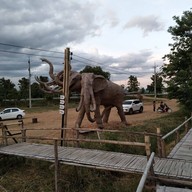 ขัวแตะคนยอง