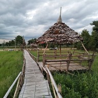 ขัวแตะคนยอง