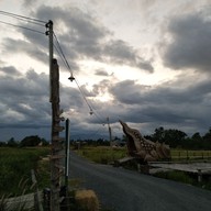 ขัวแตะคนยอง