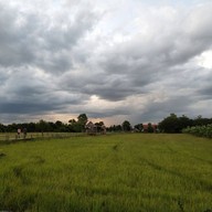 ขัวแตะคนยอง