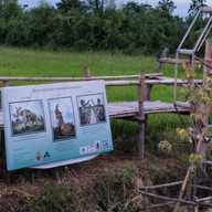 ขัวแตะคนยอง