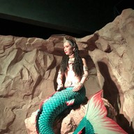 บรรยากาศ สถานแสดงพันธุ์สัตว์น้ำภูเก็ต