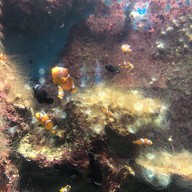 บรรยากาศ สถานแสดงพันธุ์สัตว์น้ำภูเก็ต