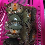 คนละยำ​ ยำแซ่บ​ แจ้งวัฒนะ14​ หน้าการเคหะ