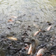 บรรยากาศ ก๋วยเตี๋ยวเรือตากะยาย
