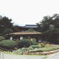 Gargen of the morning