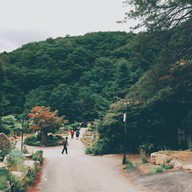 Gargen of the morning