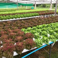 Farm Fresh
