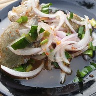 คนรักหอย