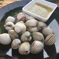 คนรักหอย