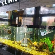 T32DENTALCLINIC นนทบุรี
