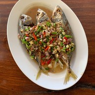 เมนูของร้าน ครัวปลาทู (ทิดอ้วน) บางแสน