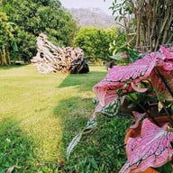 บ้านชายเขา โฮมสเตย์