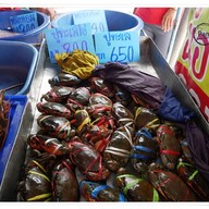 บรรยากาศ น้อง นาคประคอง ร้านที่3 ริมหาดชะอำ