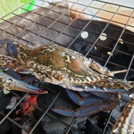 เมนูของร้าน เจี๊ยบหมูกระทะ หนองโพ