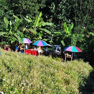 ทุ่งดอกเก๊กฮวย บ้านอมลอง