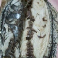 นายหงษ์ ปลาเผา