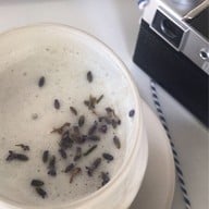 PA PRANK x I Hate Rubber Cafe