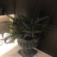 PA PRANK x I Hate Rubber Cafe