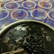 คิสฉะ คลองเตย