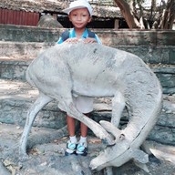 สวนสัตว์นครราชสีมา