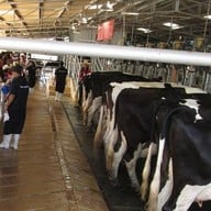 บรรยากาศ ฟาร์มโชคชัย