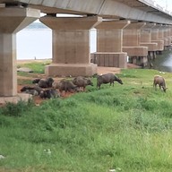สะพานเทพสุดา