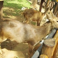 บรรยากาศ ฟาร์มโชคชัย