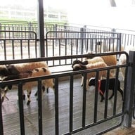 บรรยากาศ ฟาร์มโชคชัย