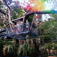 The Treehouse Nongchok
