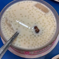 เมนูของร้าน น้ำเต้าหู้ บัวลอยฮ่องกง - ถนนธานี