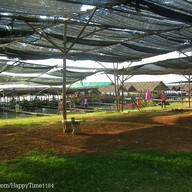 บางแสน 2 ขอนแก่น