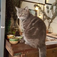 บรรยากาศ No-Name CAFE