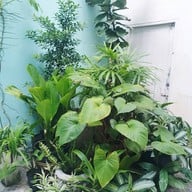 Borbaboom Phuket Poshtel & Hostel