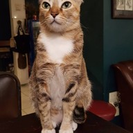 บรรยากาศ No-Name CAFE