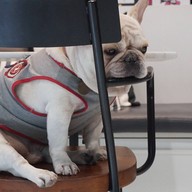 Collectors’ Cafe แจ้งวัฒนะ