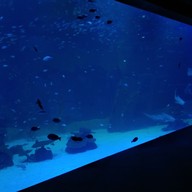 หน้าร้าน Andasi Restaurant Lounge Phuket  Thailand