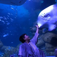 บรรยากาศ Andasi Restaurant Lounge Phuket  Thailand