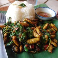 เมนูของร้าน กระเพราในตำนาน สวนกระแส ต.งิ้วราย อ.นครชัยศรี จ.นครปฐม