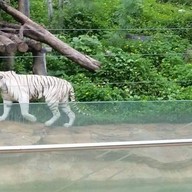 สวนสัตว์นครราชสีมา