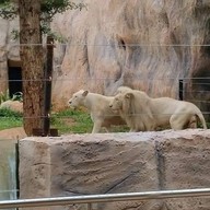 สวนสัตว์นครราชสีมา