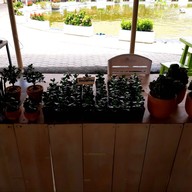 บรรยากาศ ตลาดน้ำวัดบัวขวัญ