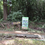 น้ำตกไทรโยคใหญ่